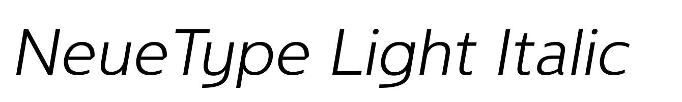 NeueType Light Italic